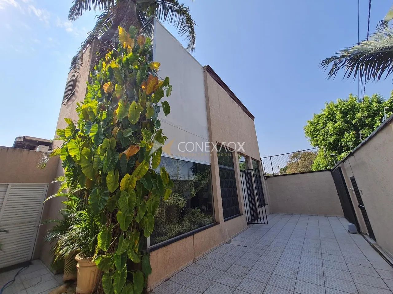 casa - Vila Anhangüera - Campinas - Foto 2