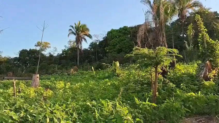 Terreno  - Foto 4