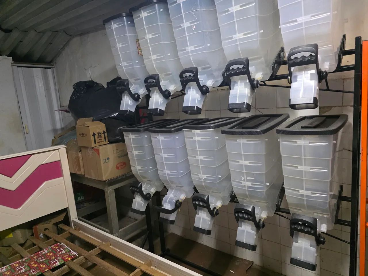 02 Expositor de Ração Com 10 Cubas Cada - Foto 3