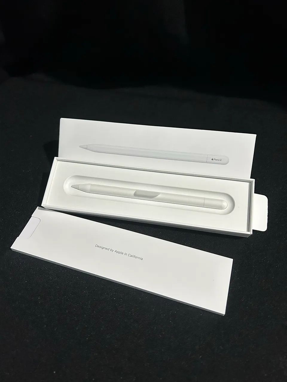 Apple Pencil USB-C - Foto 4