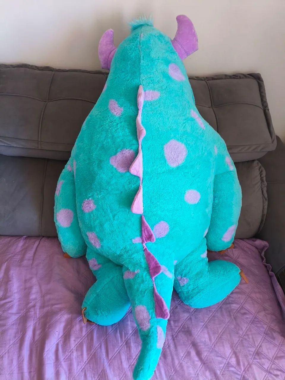 Sullivan Gigante - Foto 3