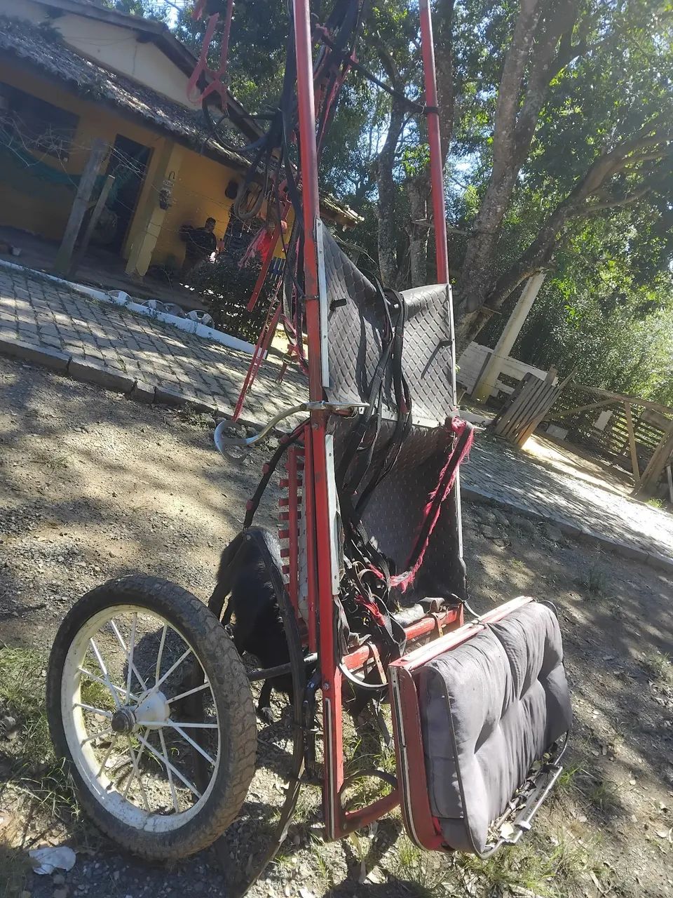 Charreete aro 21 - Foto 5