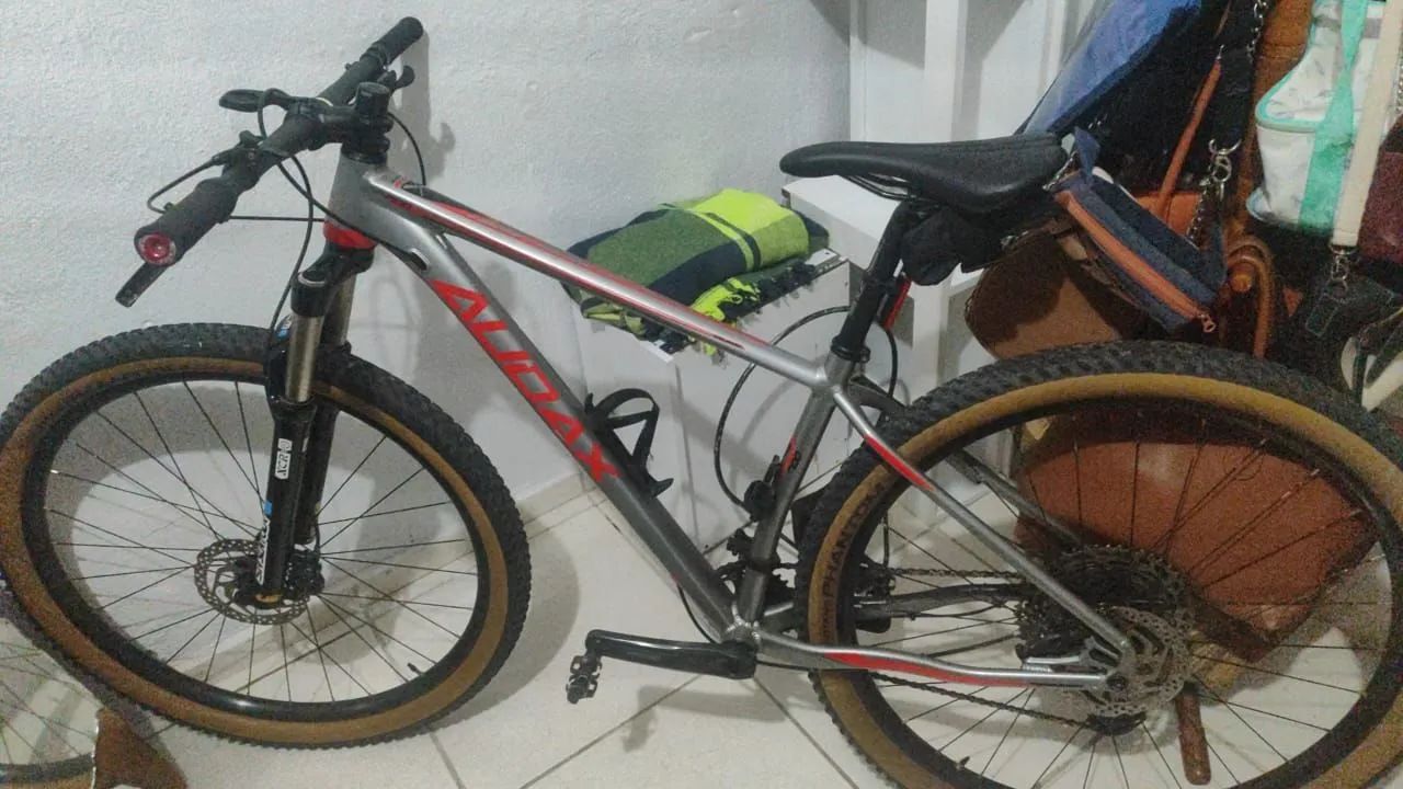 Bicicletas 29