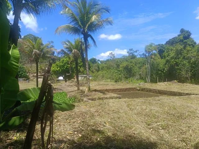 Sítio 3000² Cesário Alvim Silva Jardim - Foto 5