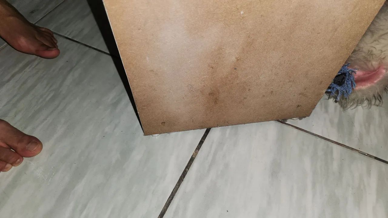 nicho à venda - Foto 3