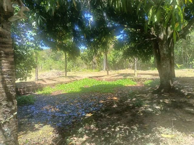 Sítio 3000² Cesário Alvim Silva Jardim - Foto 2