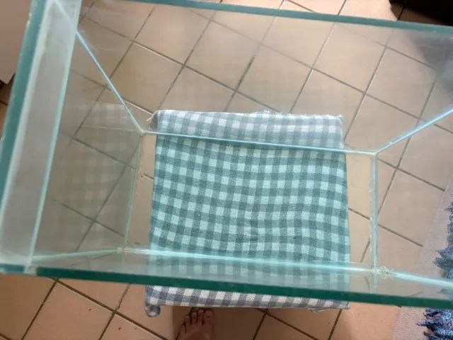 Aquario - Foto 3