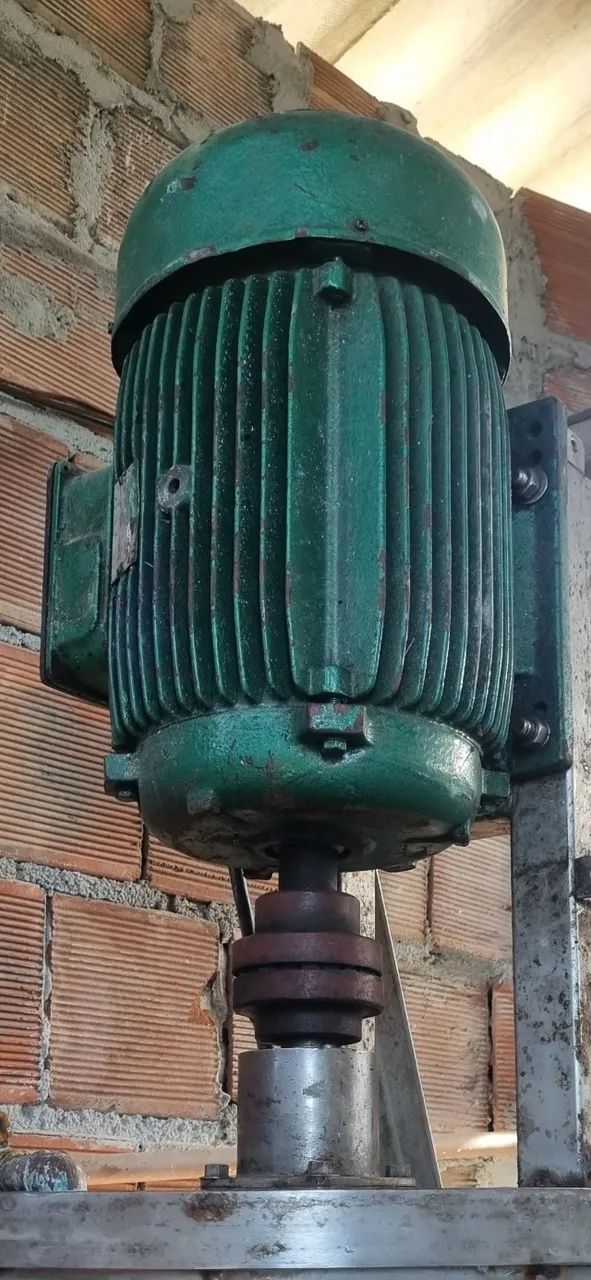 Motor 15 cv