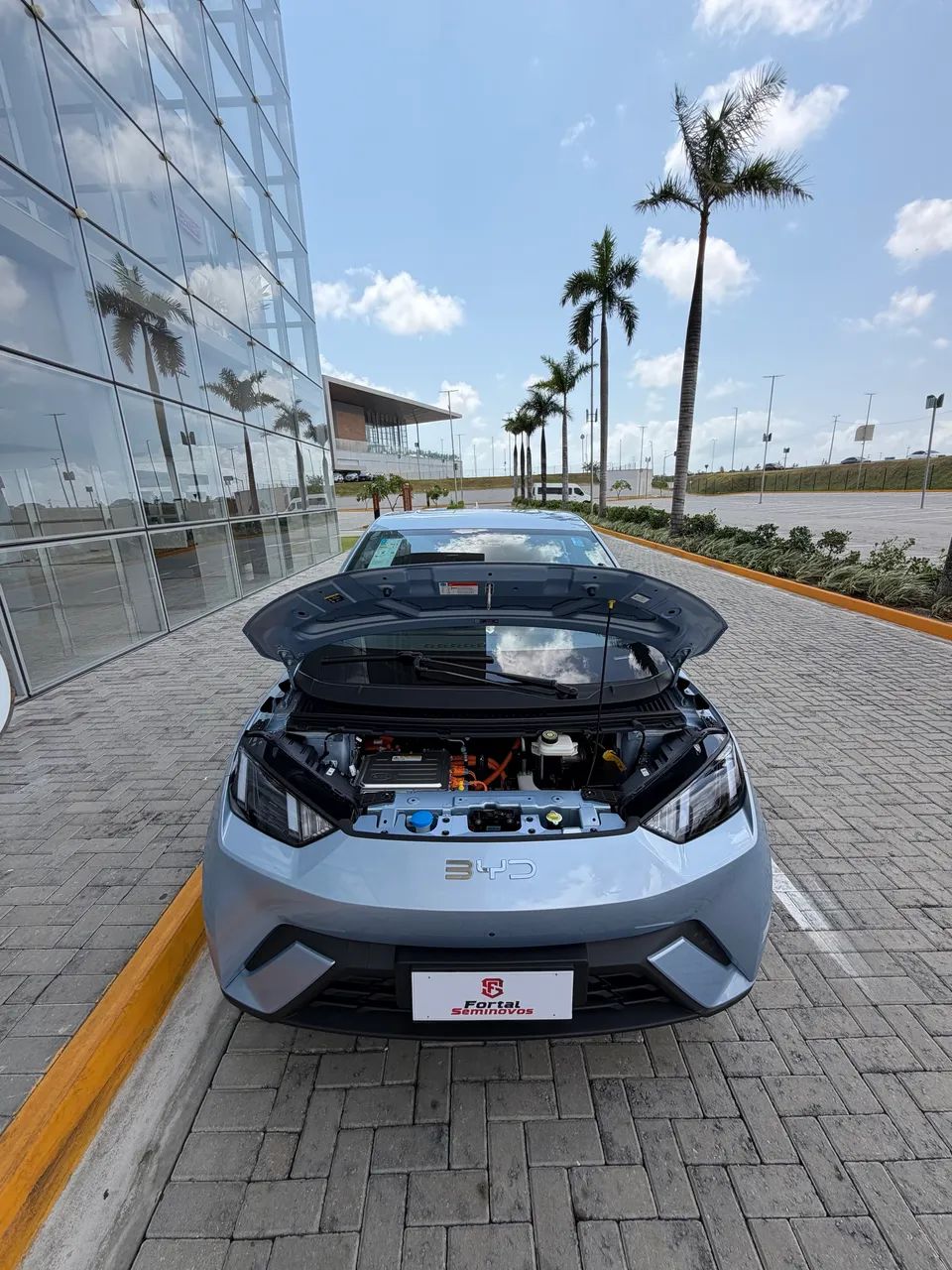 BYD Dolphin Mini (Elétrico) 2027 - Foto 3
