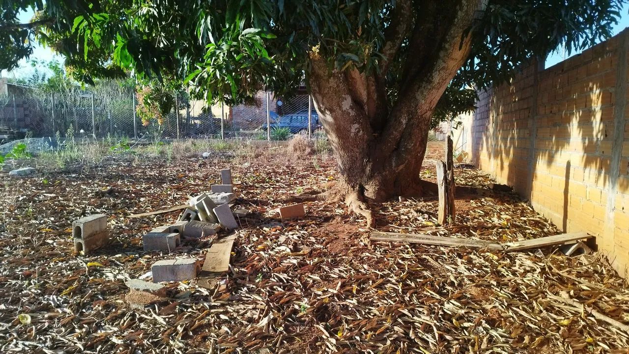 Terreno/Chácara  - Foto 4
