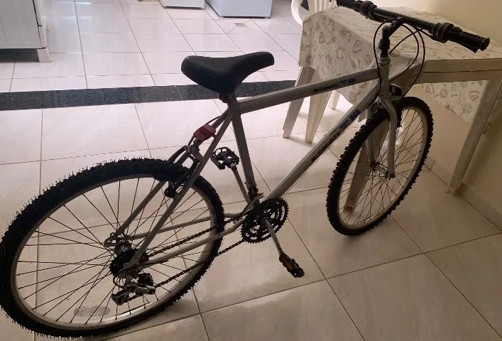 Bicicleta de adulto