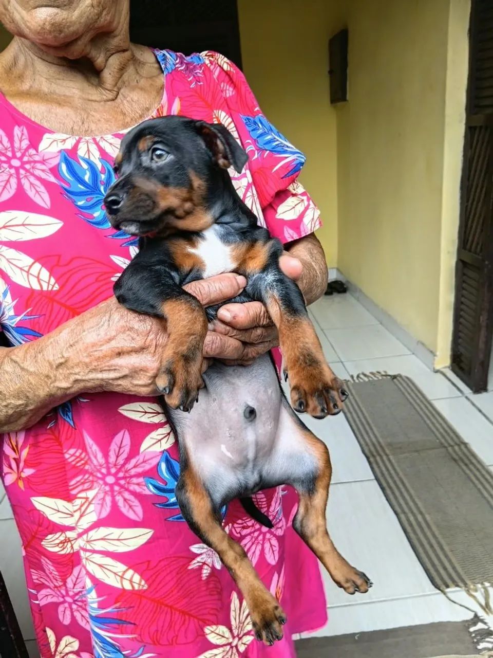Pinche 1 2 meses