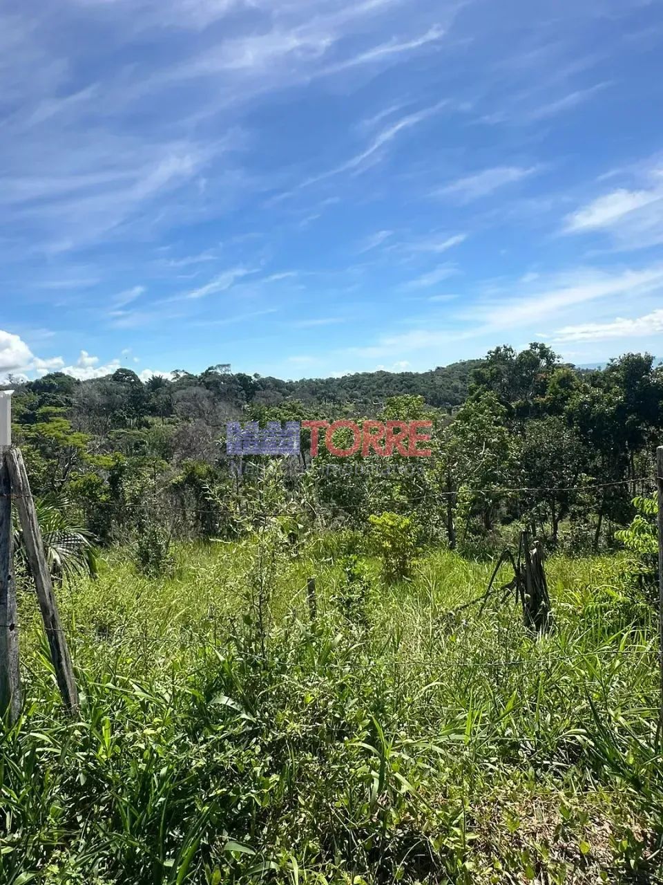 Terreno à venda, Cururupe, Ilhéus, BA - Foto 5