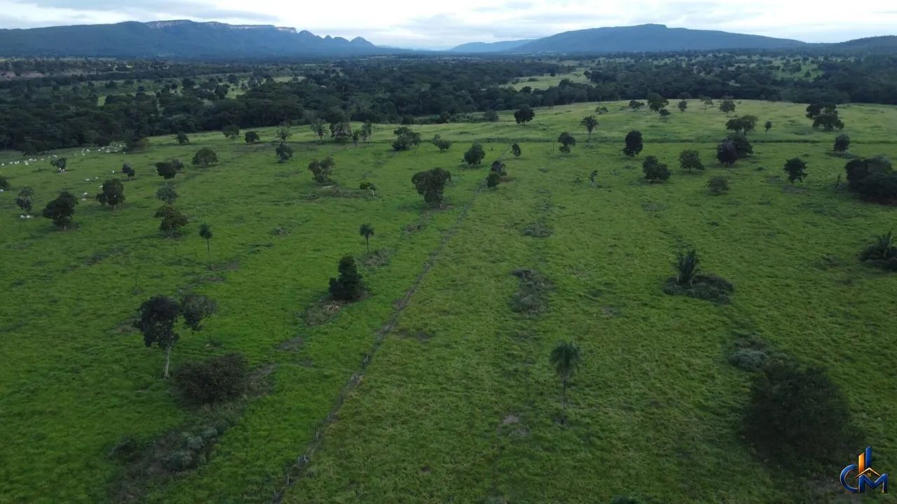 Fazenda em Cáceres - Foto 4