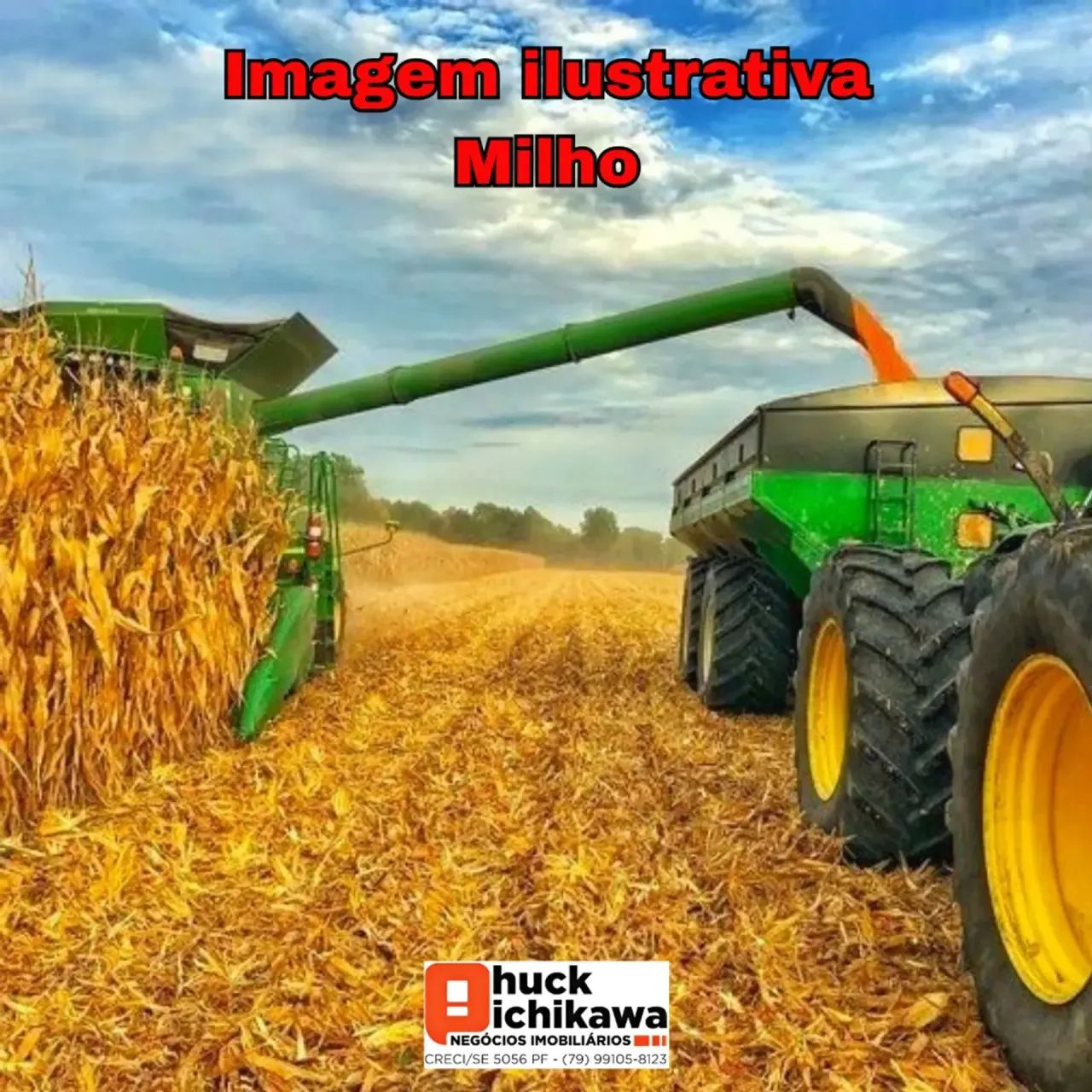 FAZENDA PARA ARRENDAMENTO  DE MILHO  JAPARATUBA/SE - Foto 2