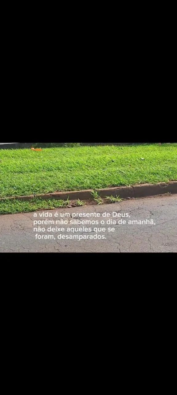 Vendo terreno no cemitério em Ibiporã 