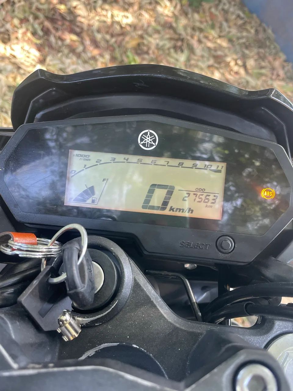 Fz25/2022 - Foto 3