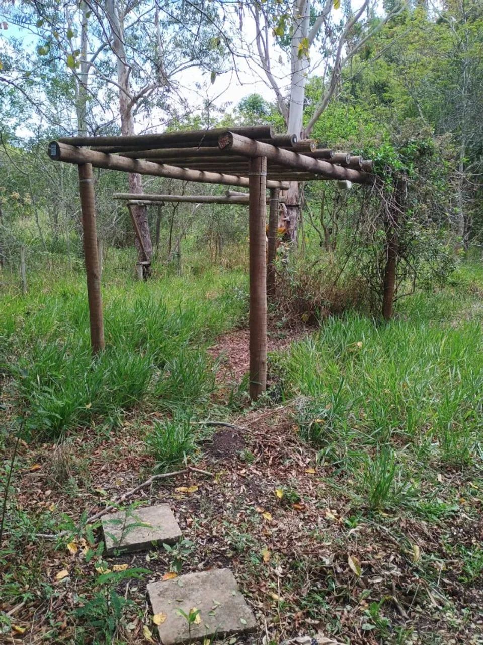 Sitio Entre Rios de Minas - MG  1,5 hectare - Foto 2