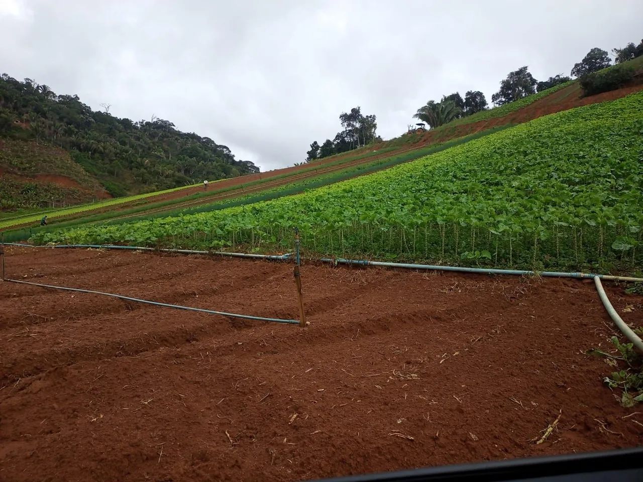 Sítio marechal floriano 64 mil metros  - Foto 3