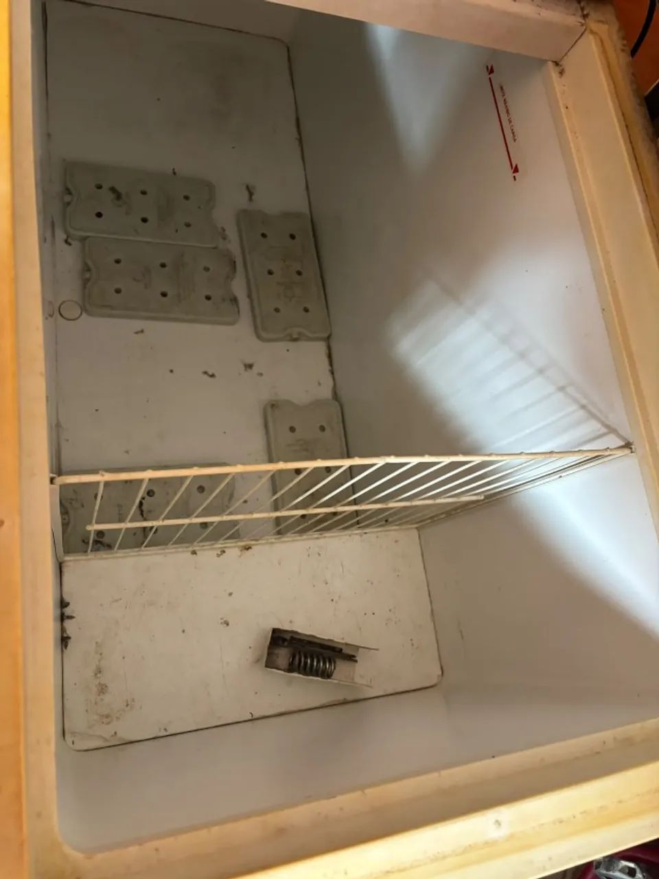 Freezer - Foto 2