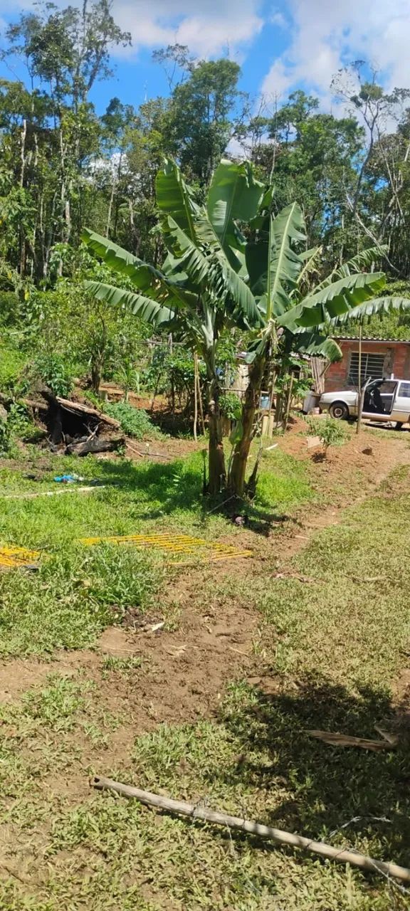 Sítio em Ibiúna - Foto 3