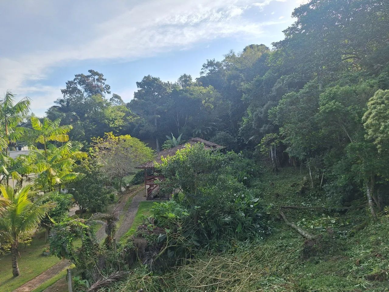 Terreno à venda no Sambaqui - Foto 4