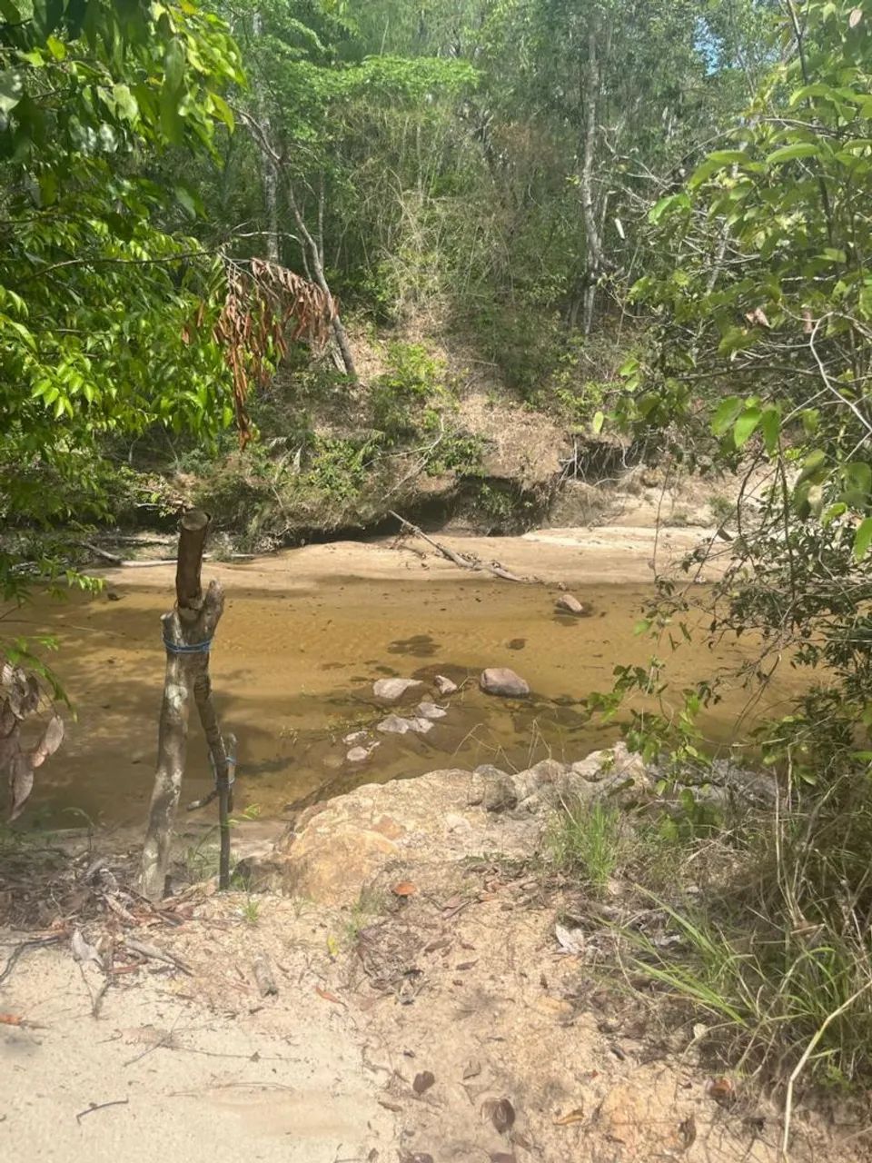 Chácara com Rio no fundo em Faina GO  - Foto 4