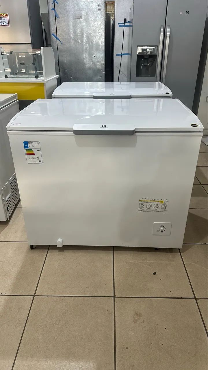 Freezer Electrolux 314L