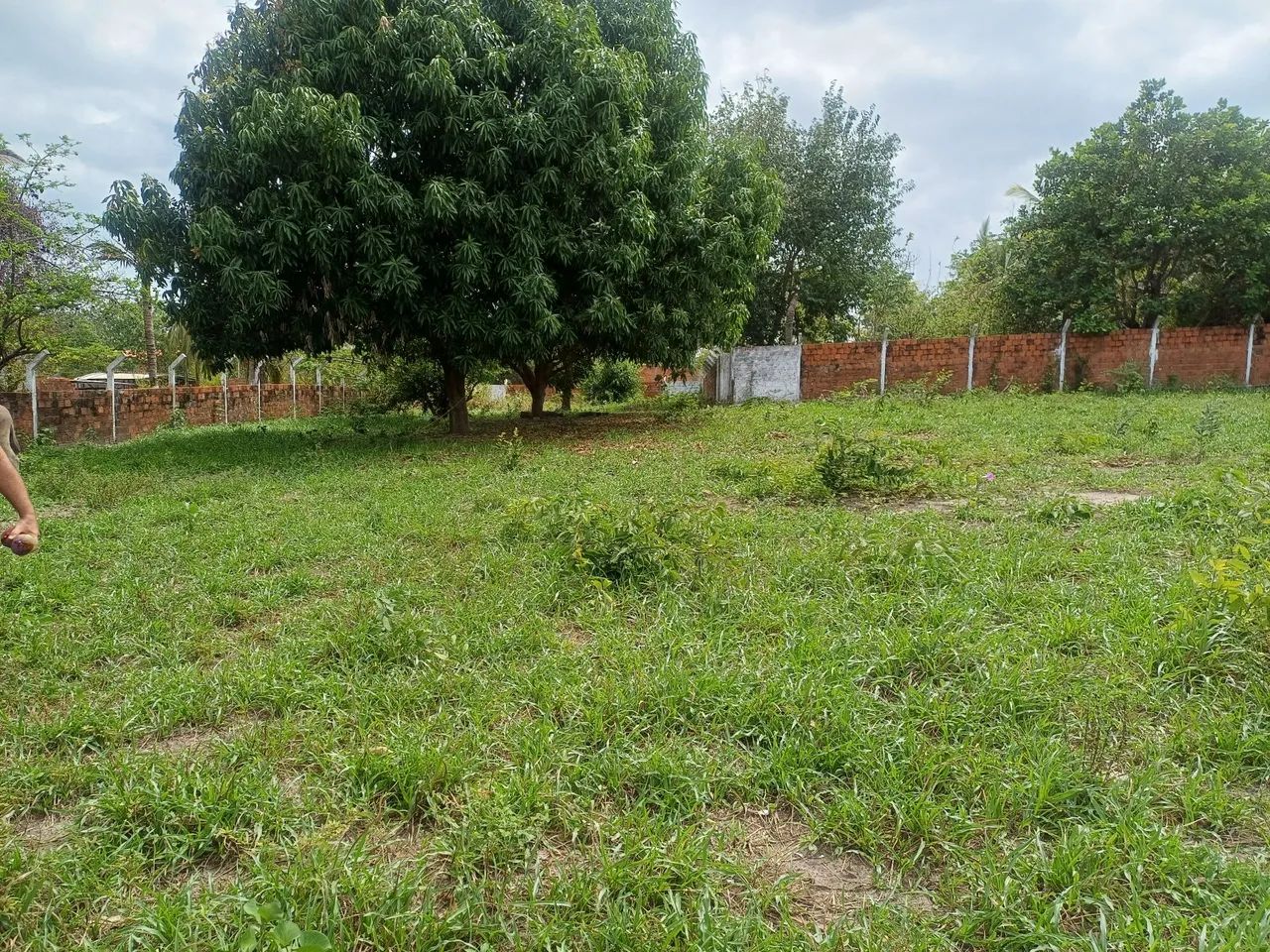 Terreno bom para construir  - Foto 6