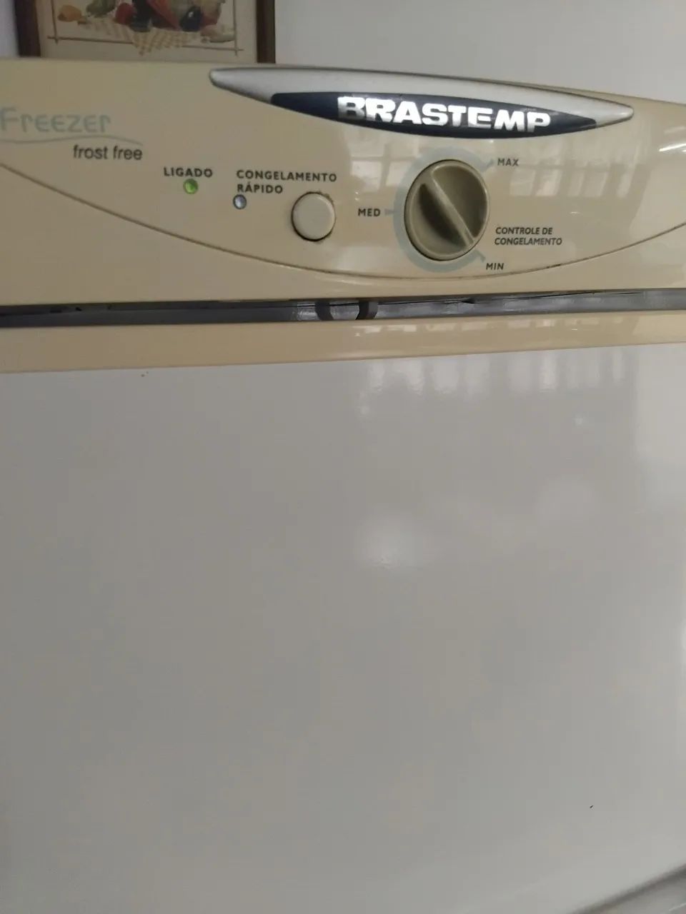 Freezer Brastemp 