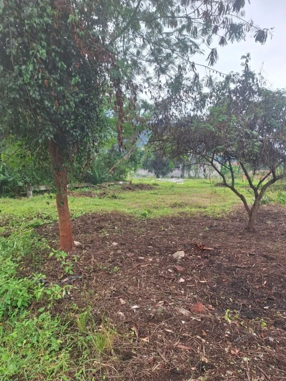 TERRENO BEM GRANDE,  NÃO É COMUNIDADE  - Foto 2