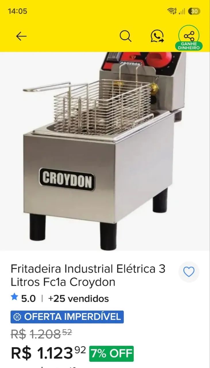 Fritadeira industrial elétrica 3 litros 