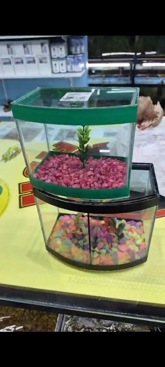 Acessórios pra pet - Foto 2