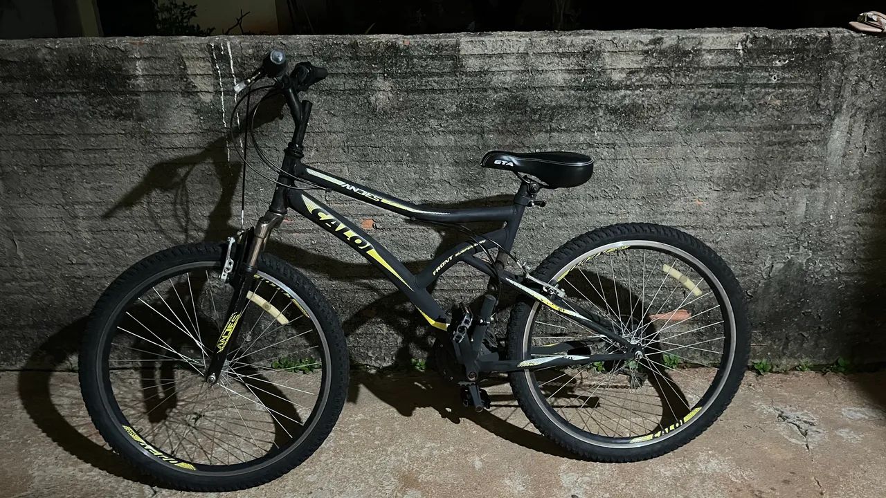 Bicicleta 