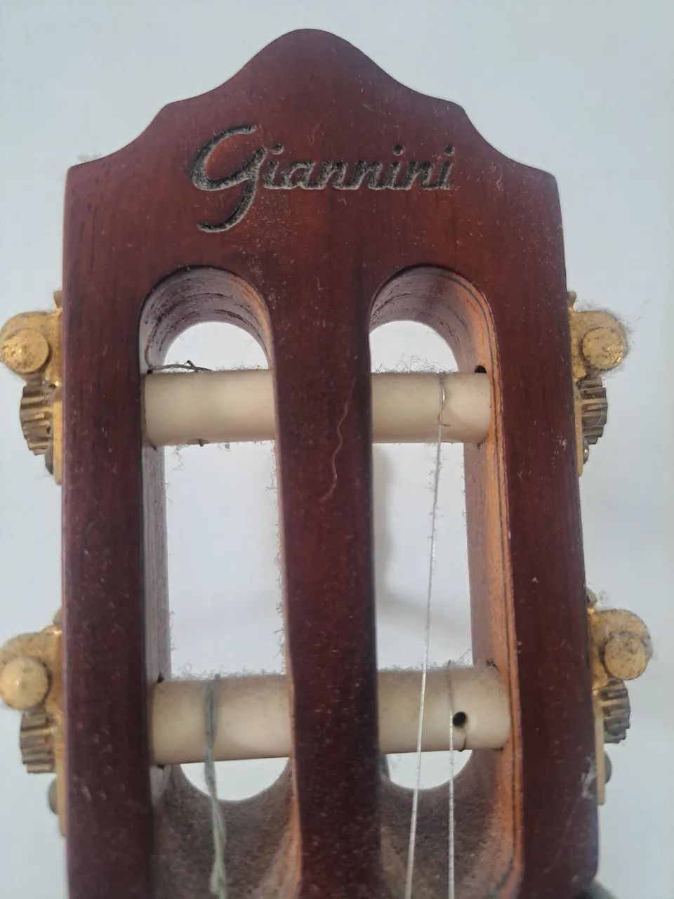 Cavaco Giannini Raiz - Foto 2