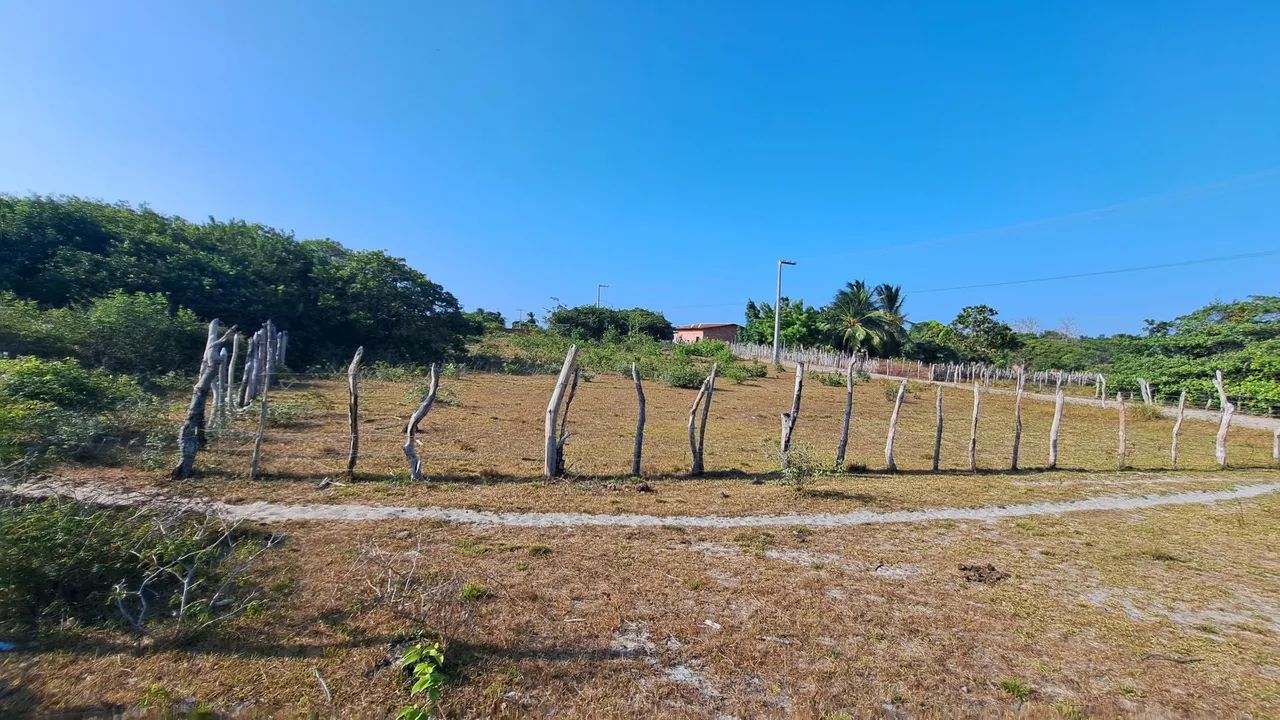 Terreno a 120 do Rio Santo Amaro  - Foto 2