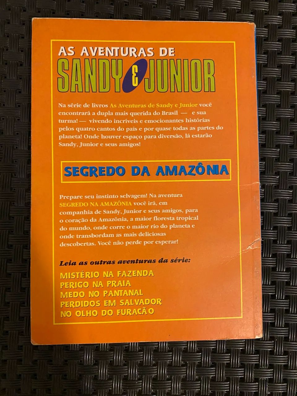 LIVRO SANDY & JUNIOR  - Foto 2
