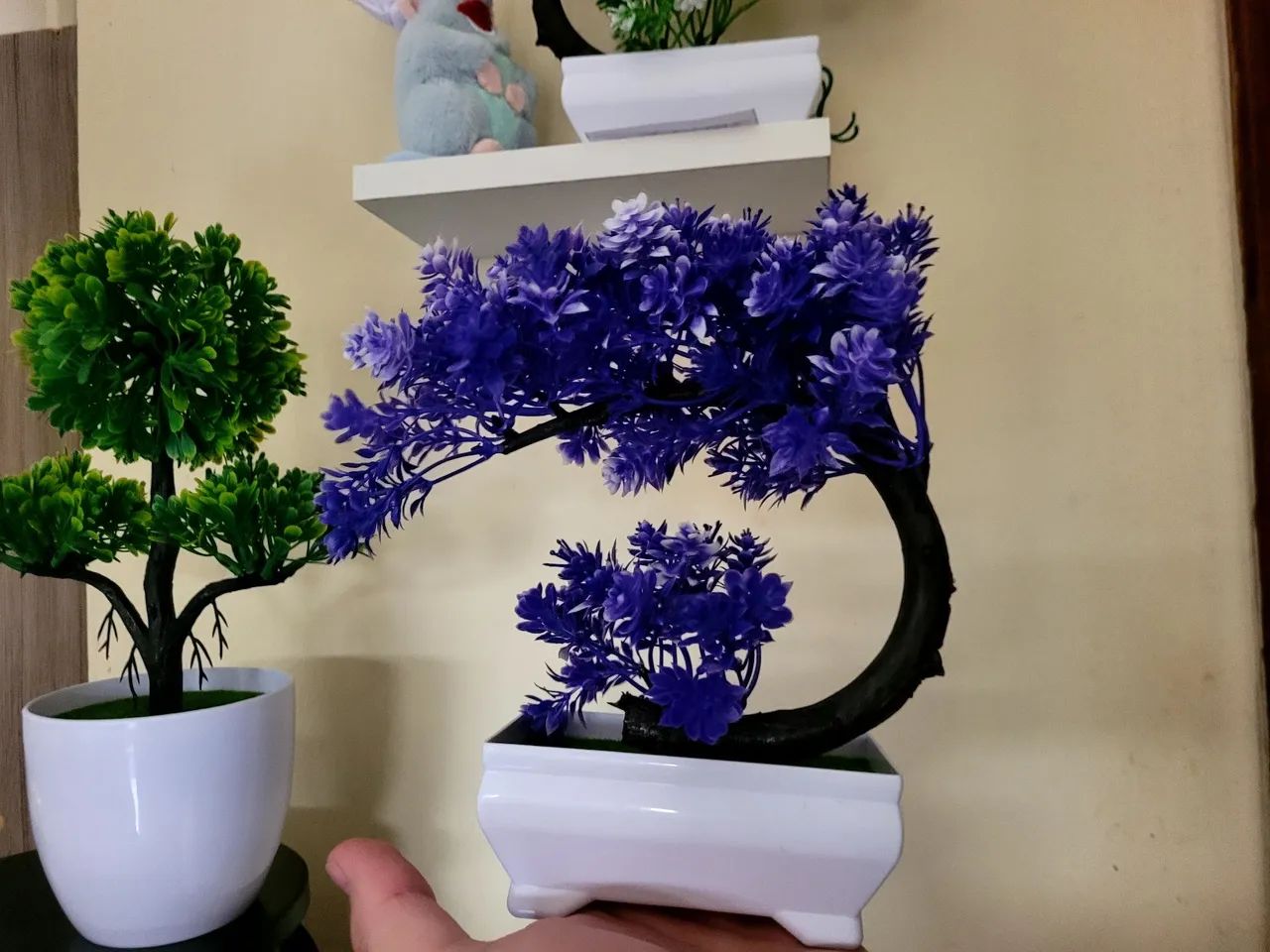 Bonsai's Lindos Decoração