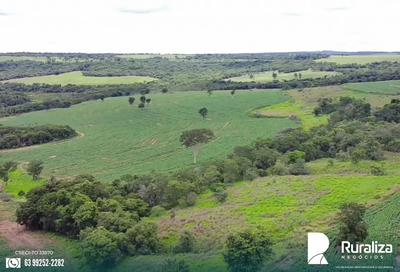 FAZENDA COM RIBEIRÃO, REPRESA E NASCENTES | 242 HA EM PRODUÇÃO - Foto 4