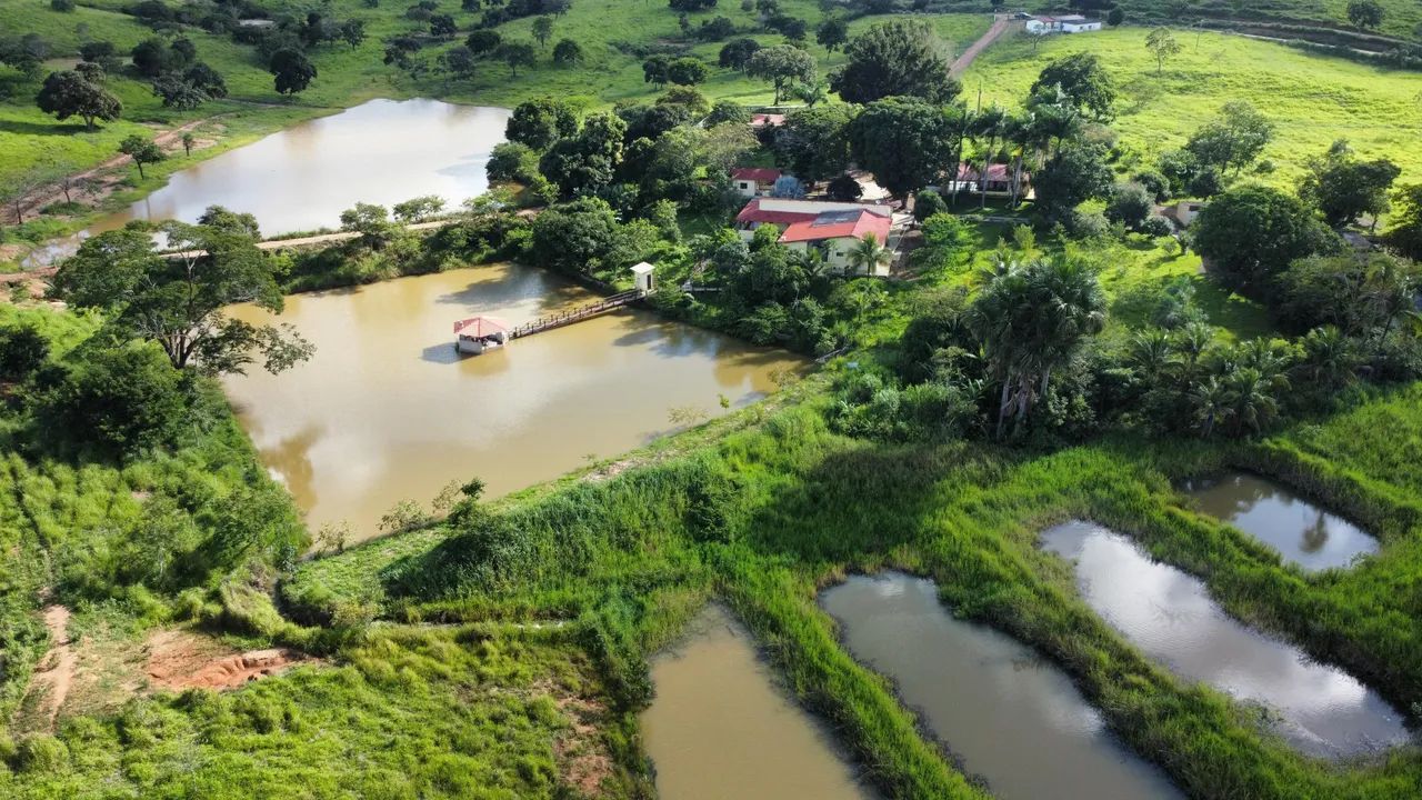 Fazenda de 32 alqueires em Padre Bernardo  - Foto 5