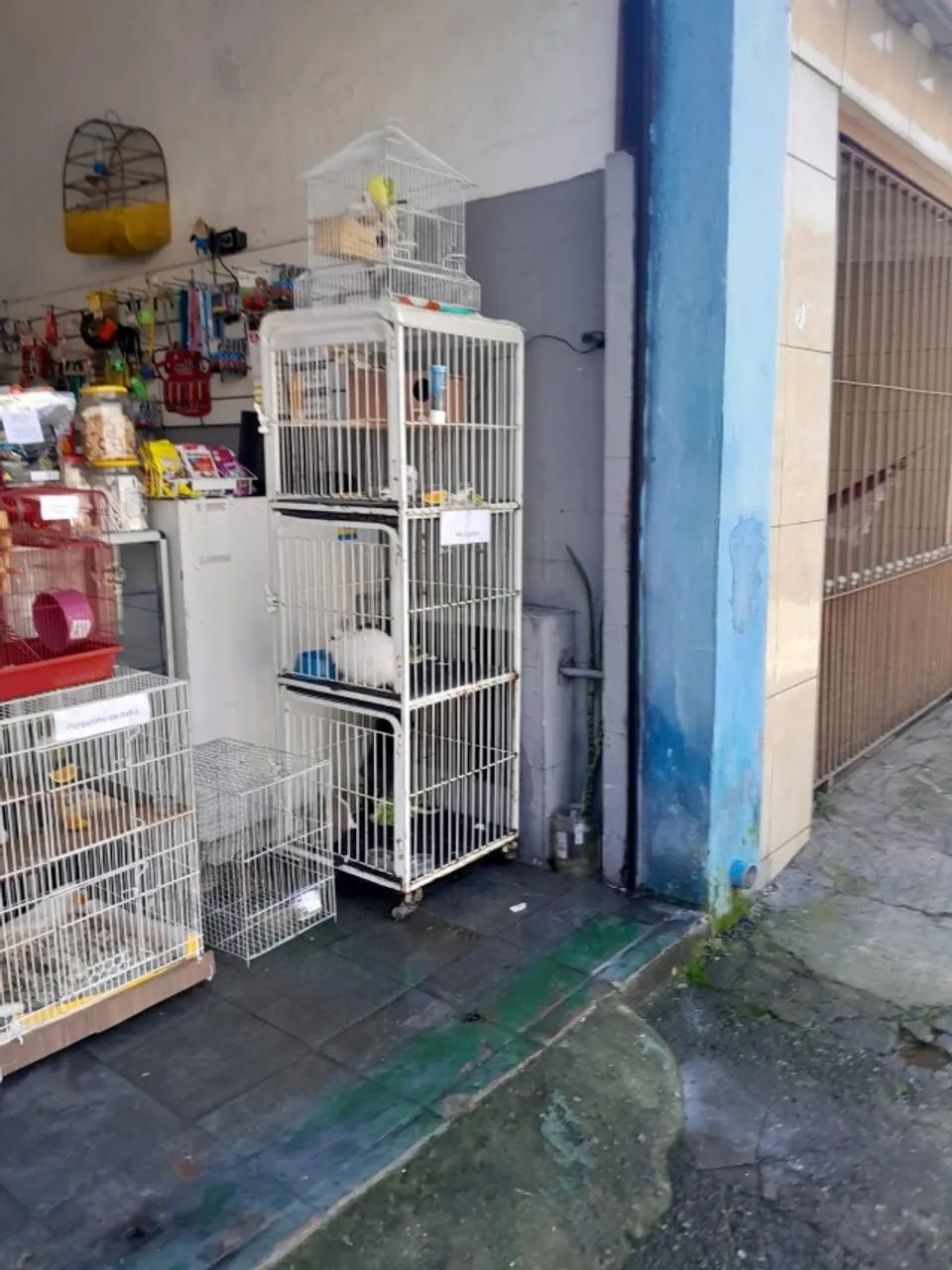 CASA DE RAÇÃO E PET SHOP - Foto 5