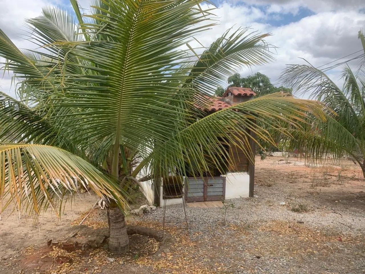 Vendo ou troco chácara  - Foto 4