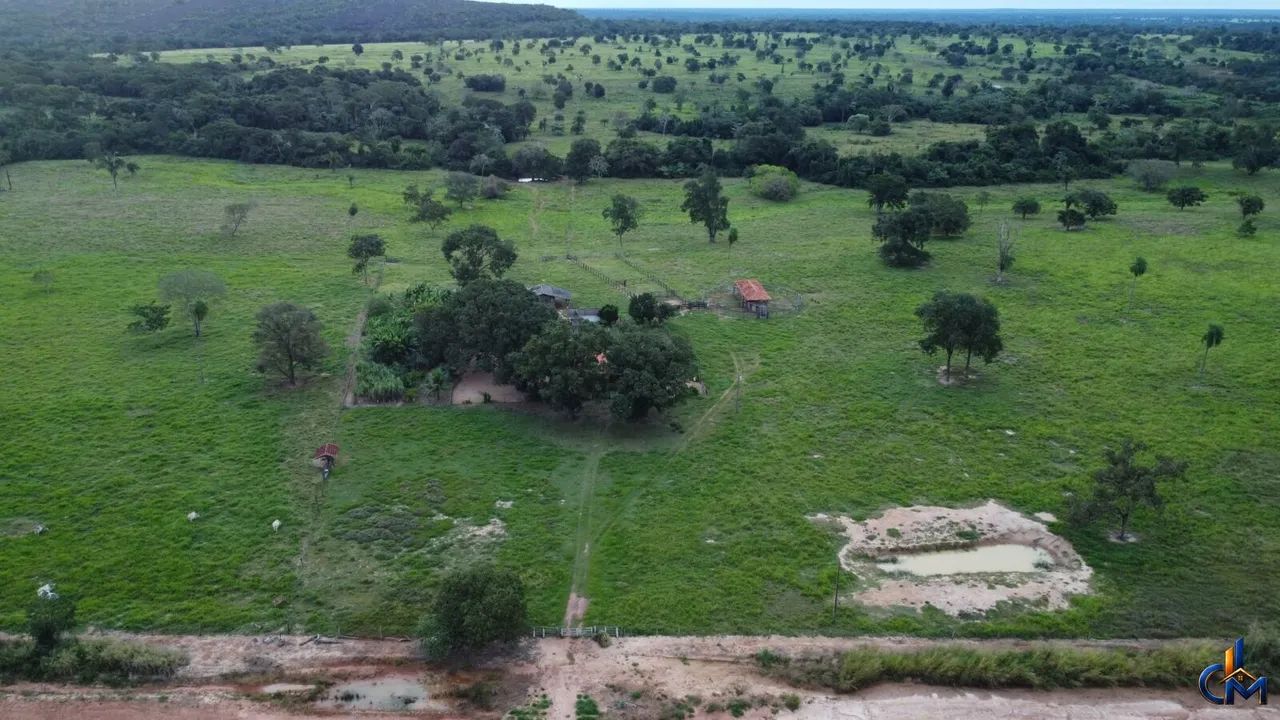 Fazenda em Cáceres - Foto 3