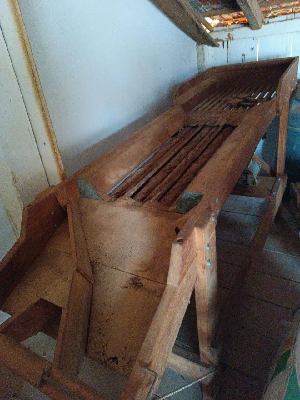  Cebola  - Foto 4