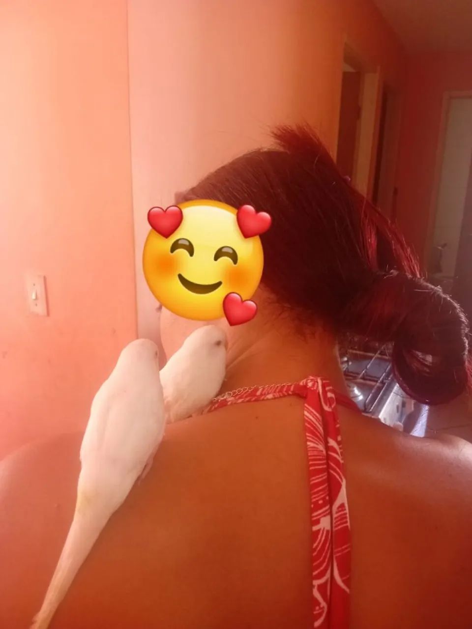 Vender - ser  - Foto 2