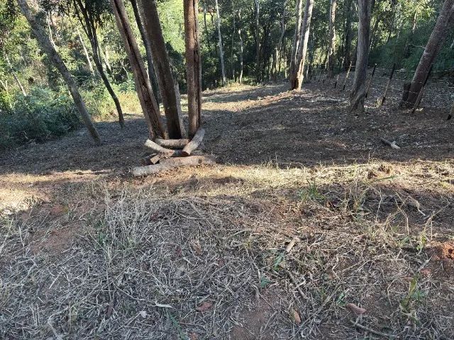 LOTE LIMPO,CERCADO E COM LUZ. A VENDA. - Foto 2