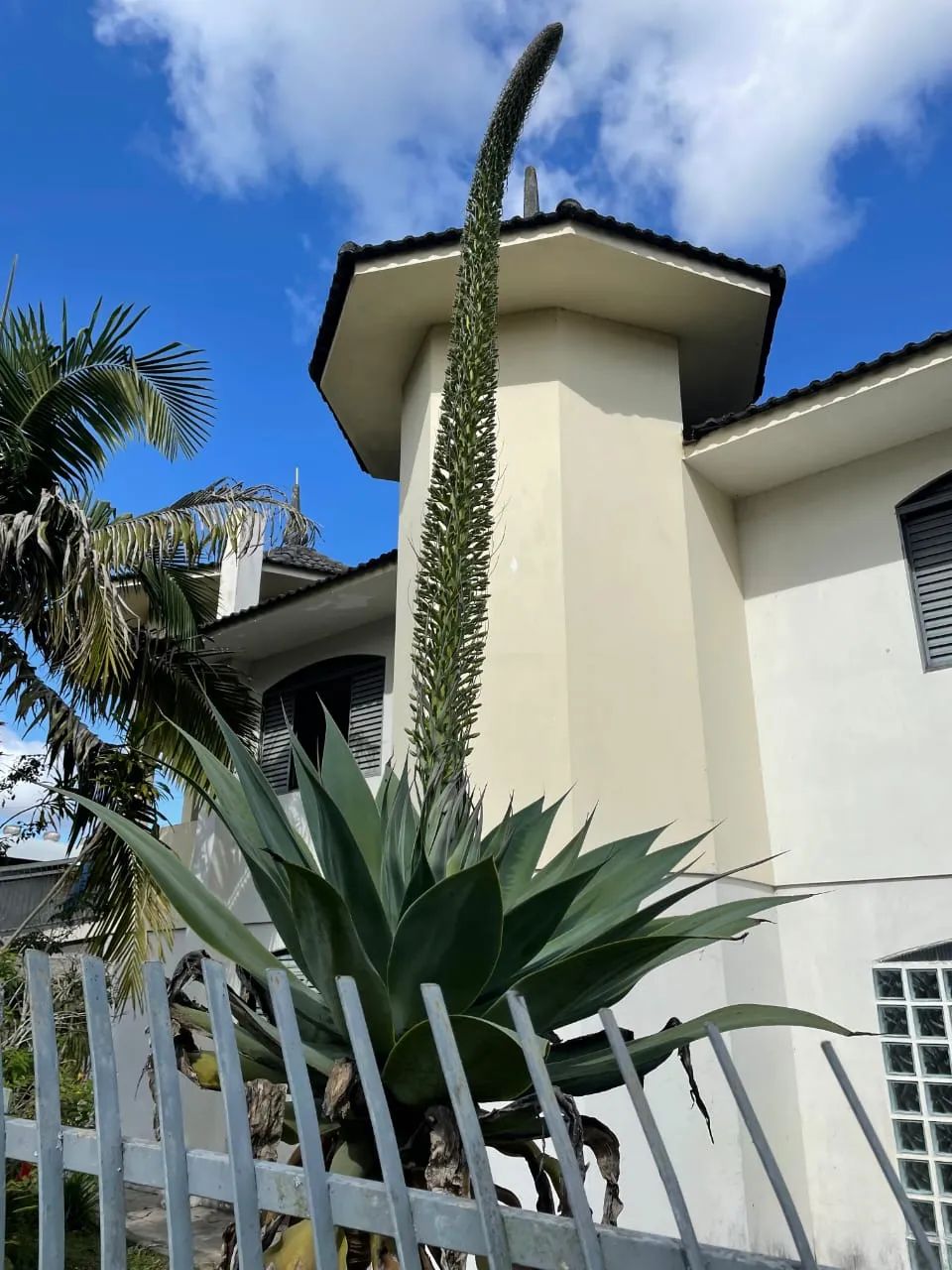 Castelinho da Lapa a Venda - Foto 3