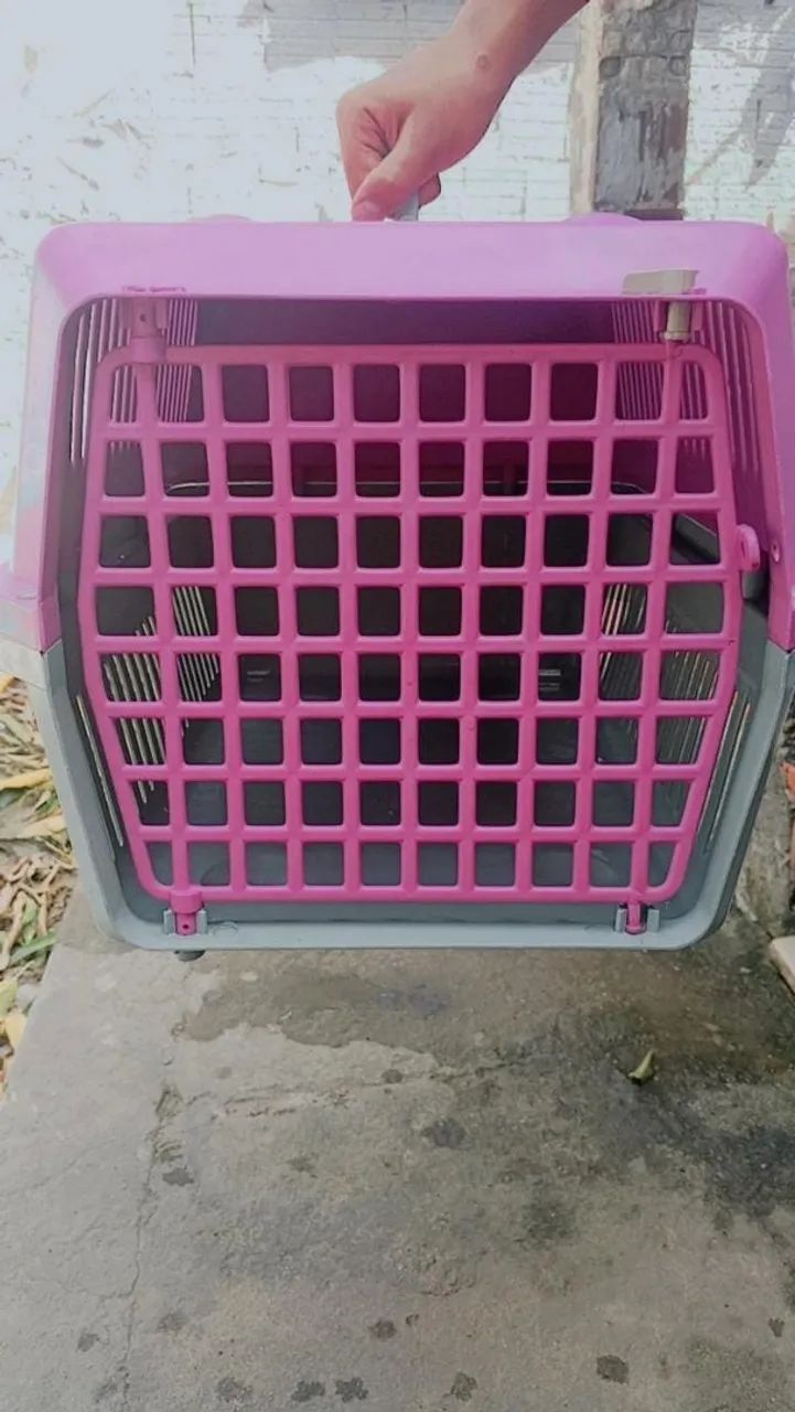 Gaiola pra transportar cachorro ?