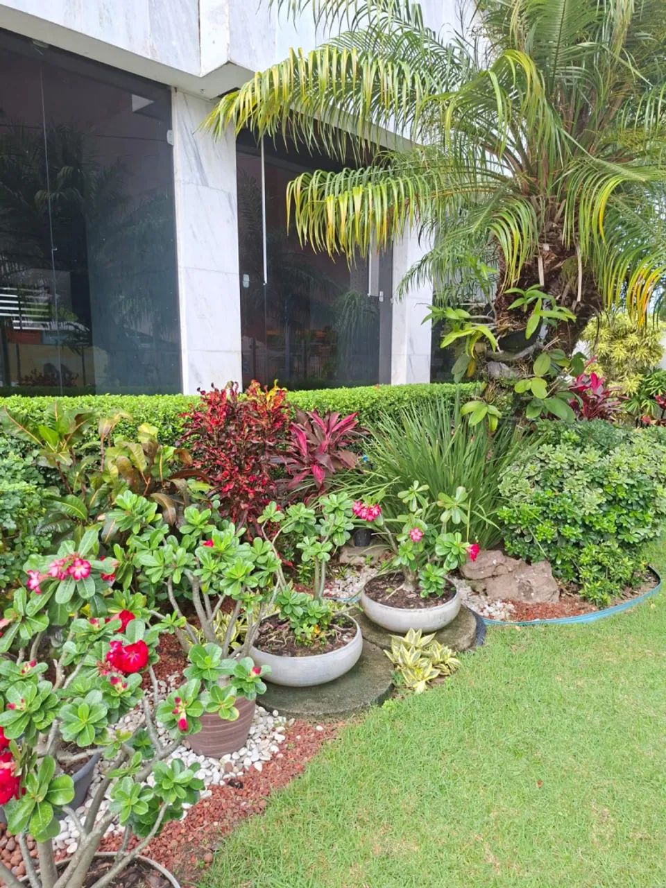 Apartamento de 03 quartos com suíte e varanda no Campo Grande - Foto 5