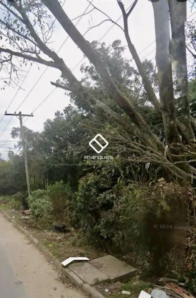 Terreno Pelotas RS brasil